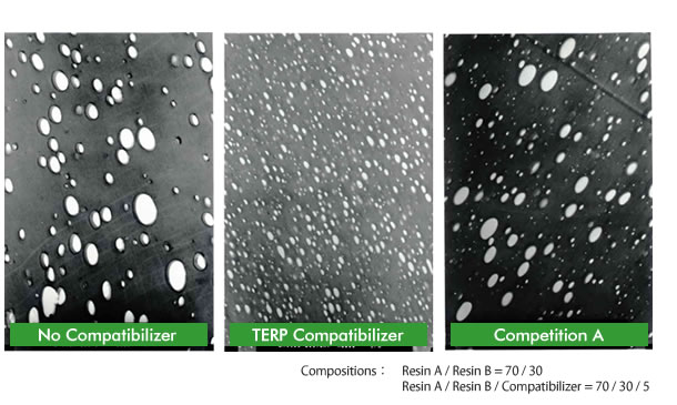 Compatibility Improvement by TERP Compatibilizer