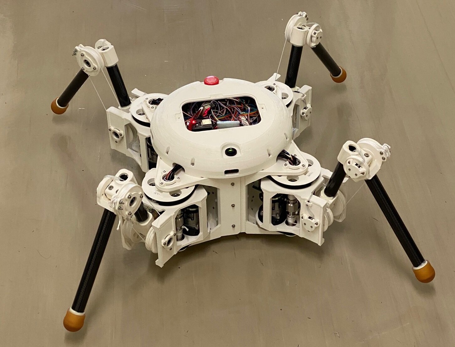 Quadruped Robot