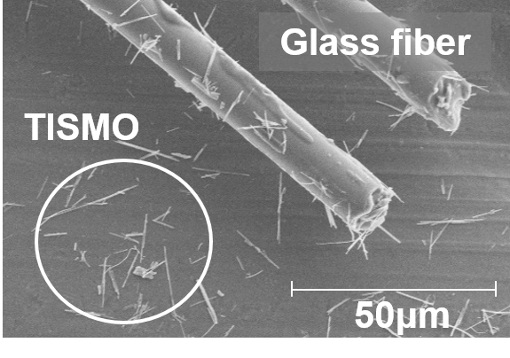 Image of TISMO and Glass fiber