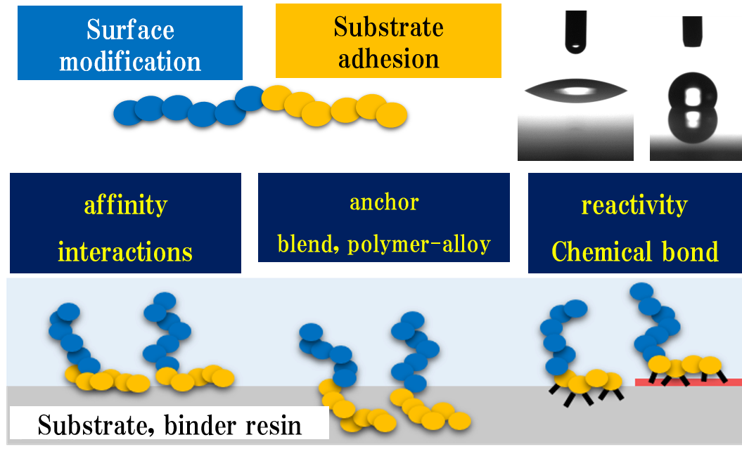 Research into the functionalization of block copolymers