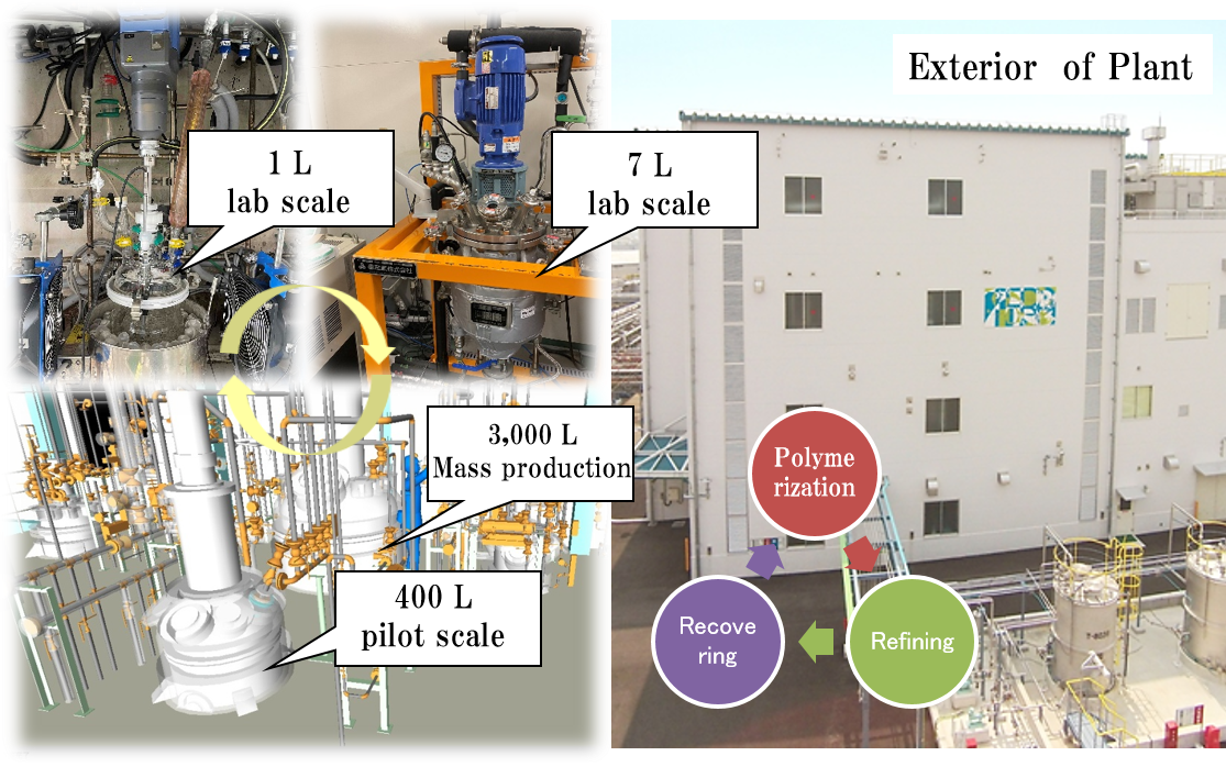 Development of processes for industrialization