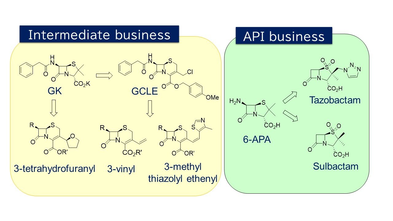 Technologies for synthesizing beta-lactam intermediates and APIs