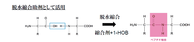 脱水縮合助剤として活用