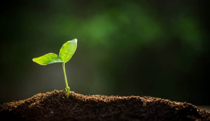 Sustainability