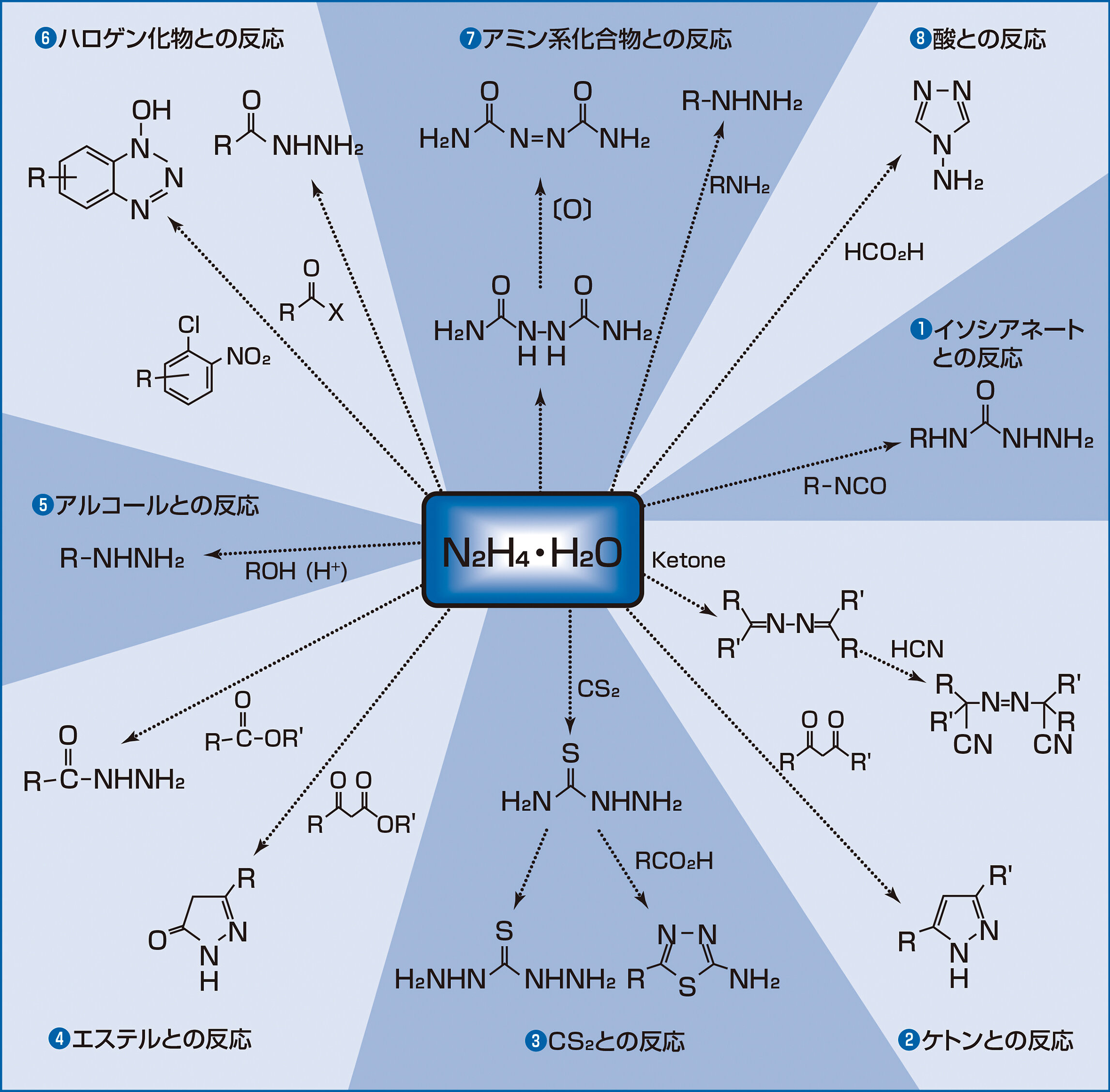 ヒドラジン誘導化技術