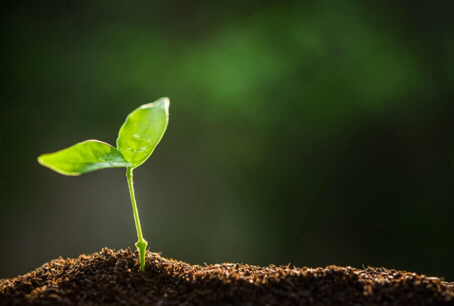 Sustainability