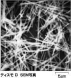 Tismo image 1