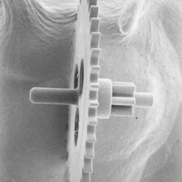 Watch Gear SEM