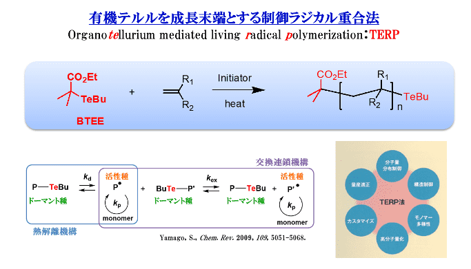 リビングラジカル重合法を用いた機能性ポリマーの研究