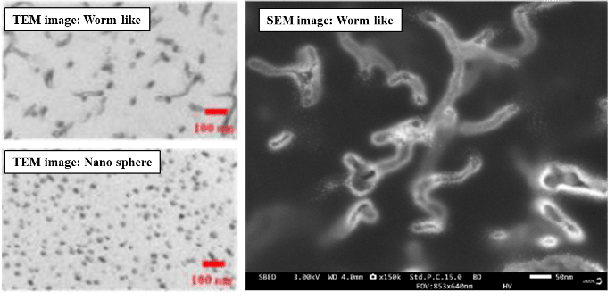 高分子ミセル形態に関する応用研究