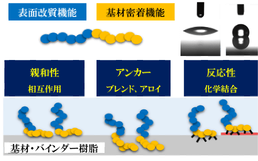 ブロック共重合体の機能化に関する研究
